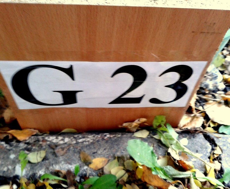 2012-11-12_14.58.21.jpg